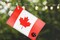 Canadian Flag Adult Party Flask: 2 liter Flasks Make the Perfect Drink Dispenser for Your Canada Day Party Supplies, Summer Beach or Pool Party,Hockey, Soccer,or Baseball Parties,Funny Gifts, and More